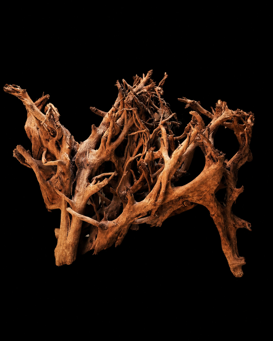 Aquarium layout with luxury driftwood and roots